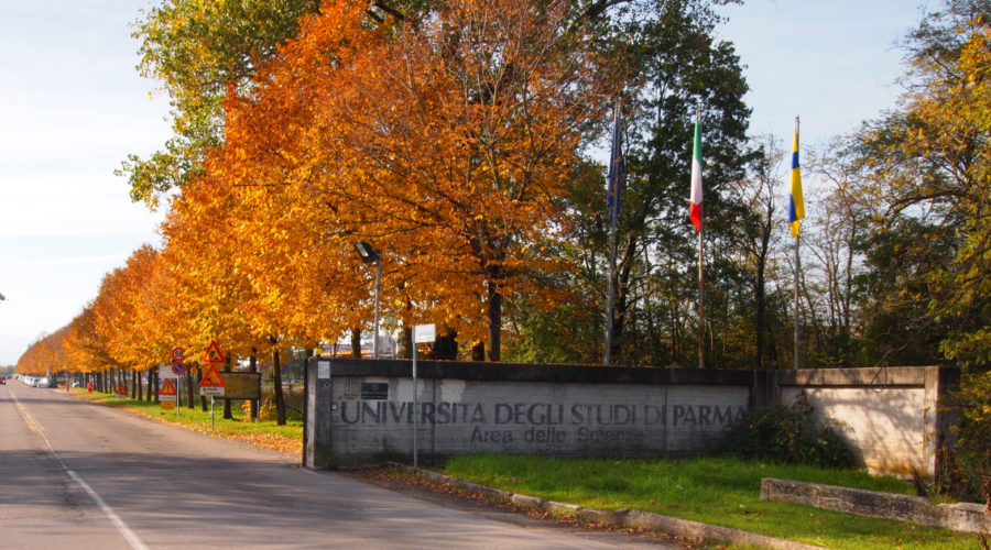 campus_1