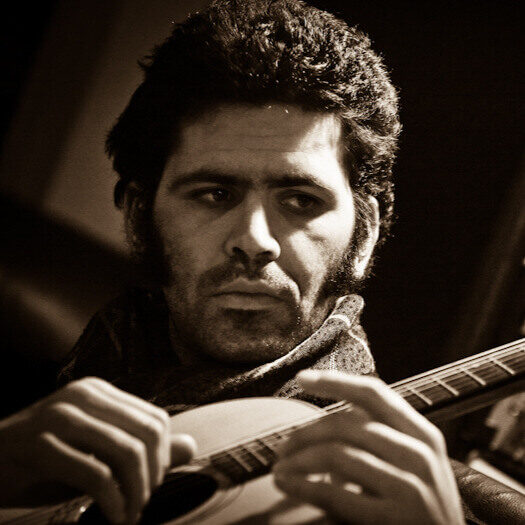 Francesco Pelosi