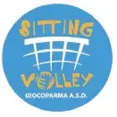 Sitting Volley